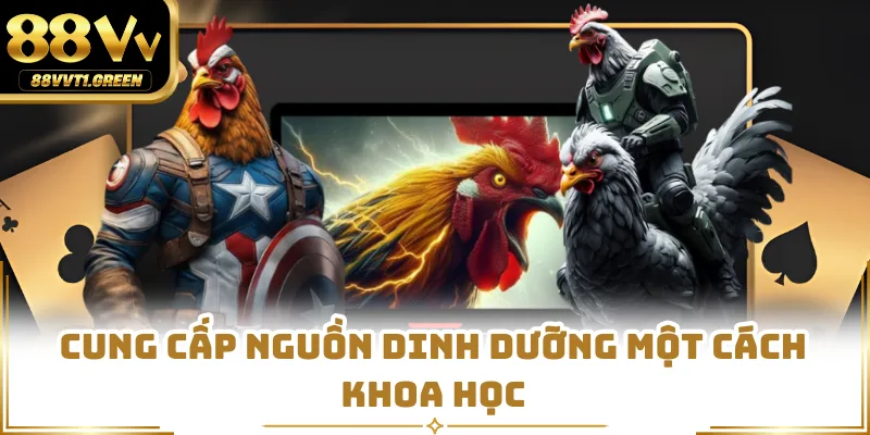 Cung cấp nguồn dinh dưỡng một cách khoa học