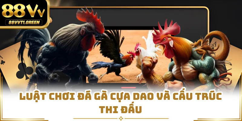 Luật chơi đá gà cựa dao và cấu trúc thi đấu